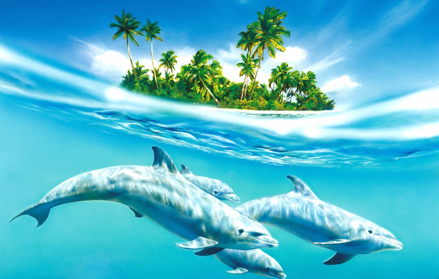 Tropical Dolphins at 640 x 1136 iPhone 5 size wallpapers HD quality