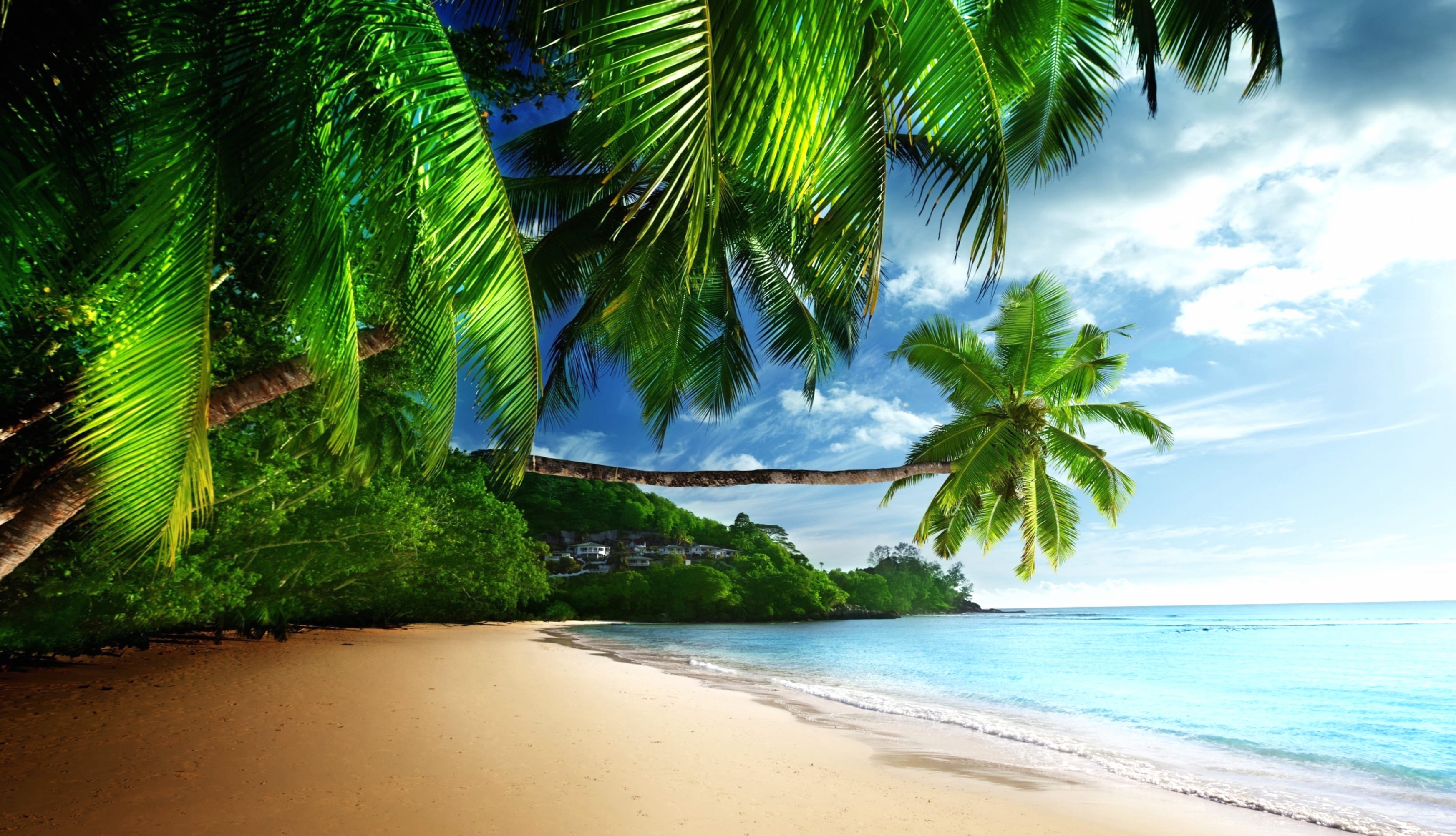 Tropical Shoreline - HD Beach Wallpaper at 1600 x 900 HD size wallpapers HD quality