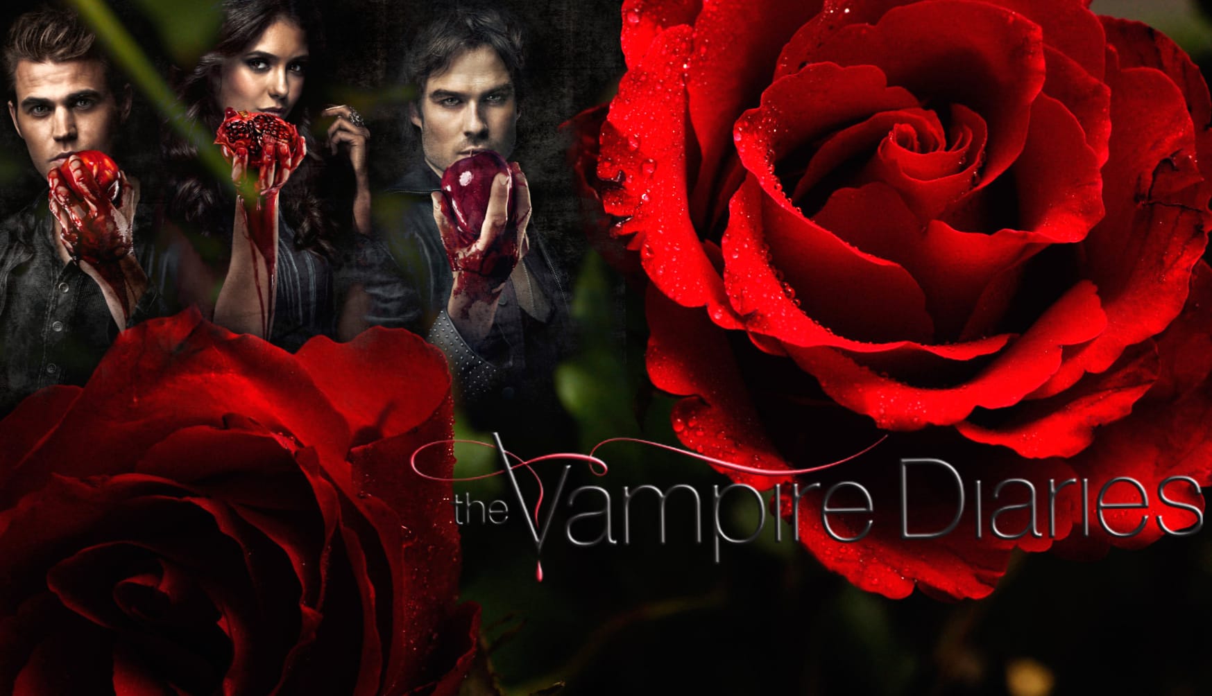 Vampire Roses Inspired at 2048 x 2048 iPad size wallpapers HD quality