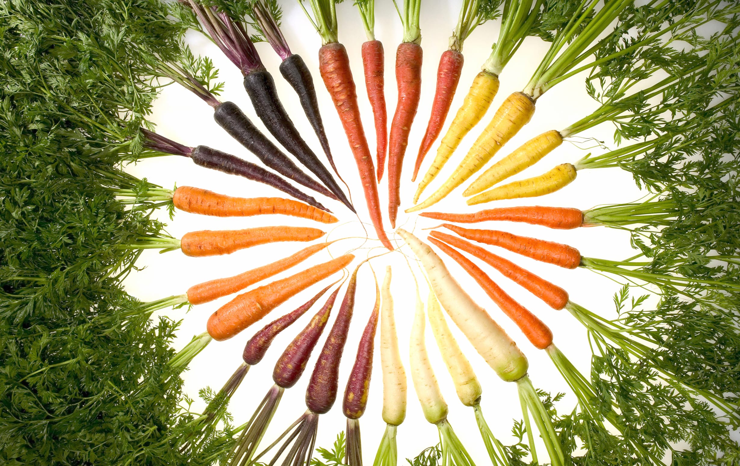 Vegetable Food Carrot wallpapers HD quality