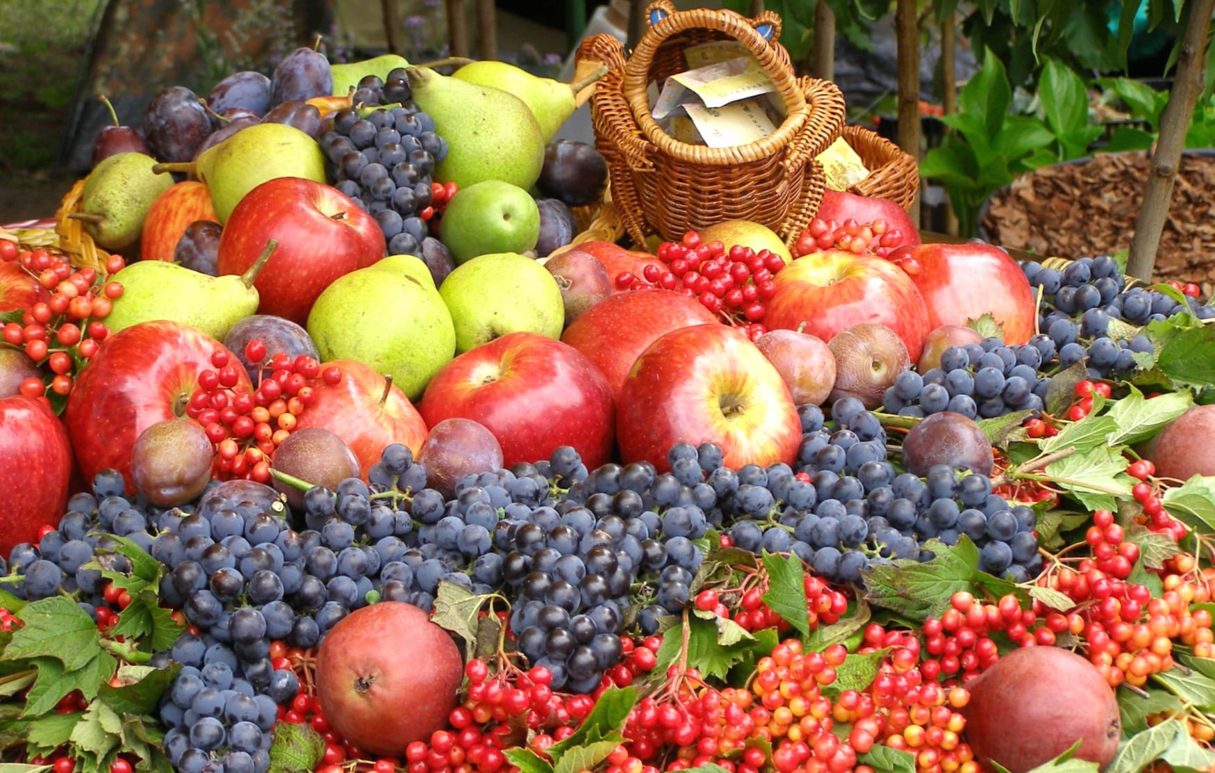 Vibrant Fruit Medley - of Grapes and Apples wallpapers HD quality