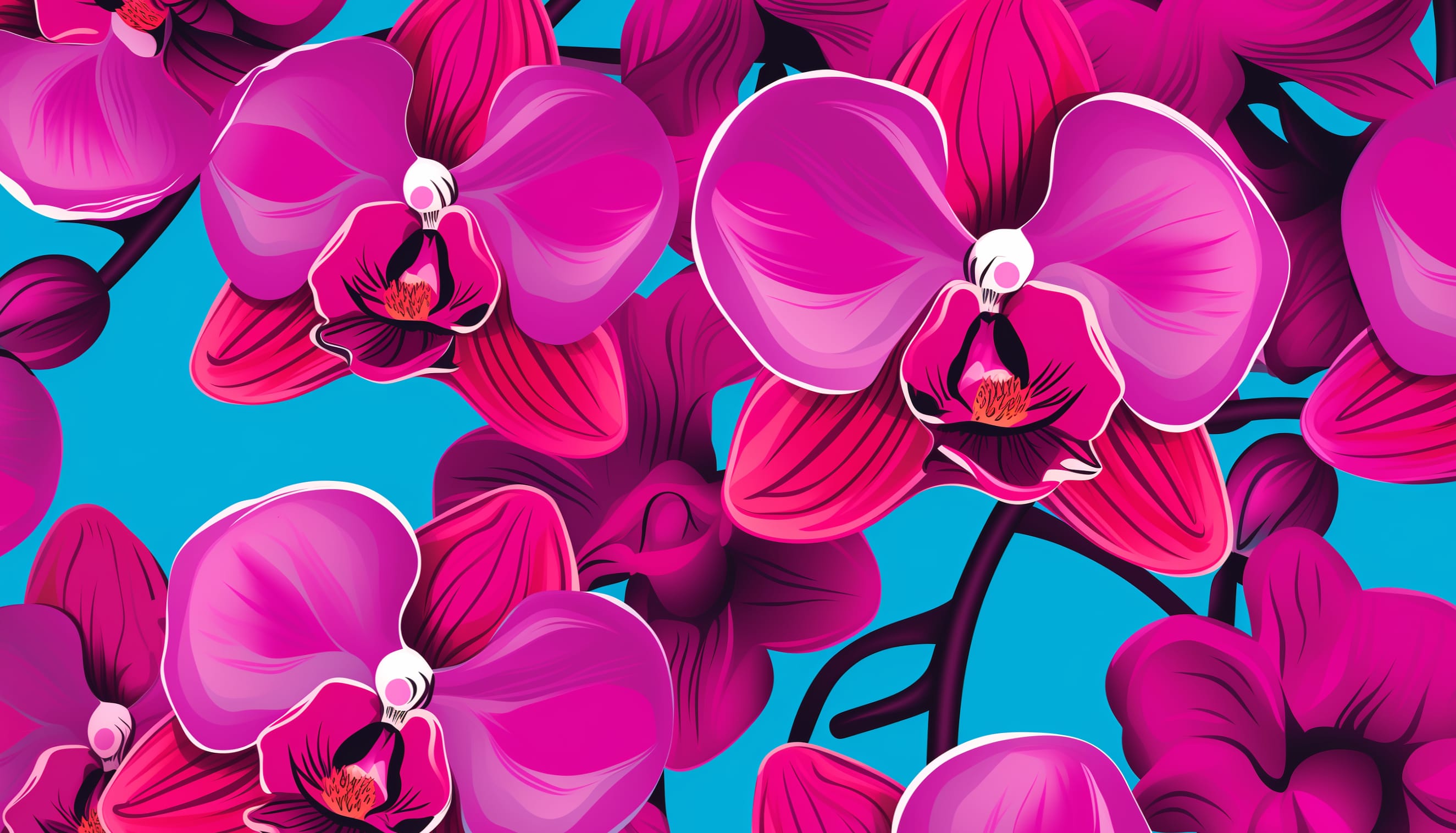 Vibrant Pink Orchids HD Desktop Wallpaper wallpapers HD quality