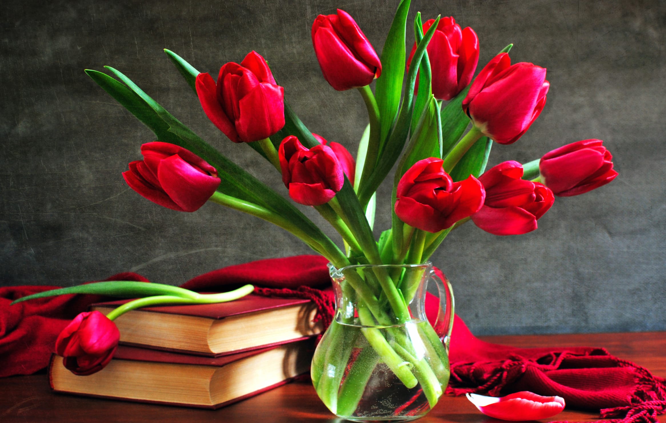 Vibrant Red Tulips A Stunning Still Life wallpapers HD quality