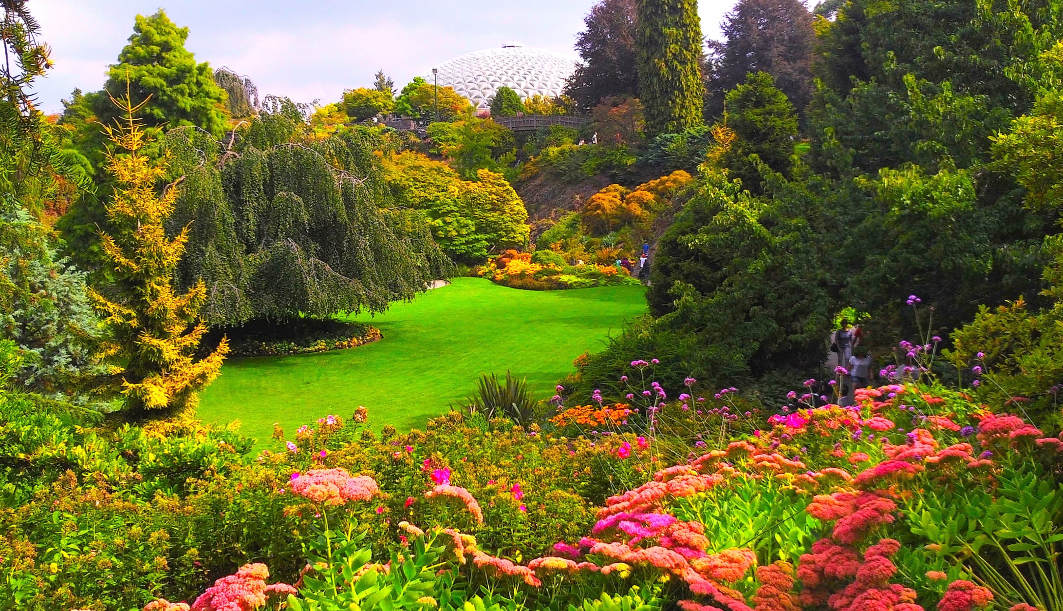 Vibrant Spring in Queen Elizabeth Gardens A Stunning wallpapers HD quality