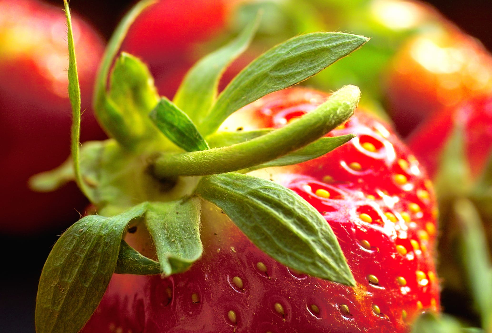 Vibrant Strawberries A Delicious Delight wallpapers HD quality