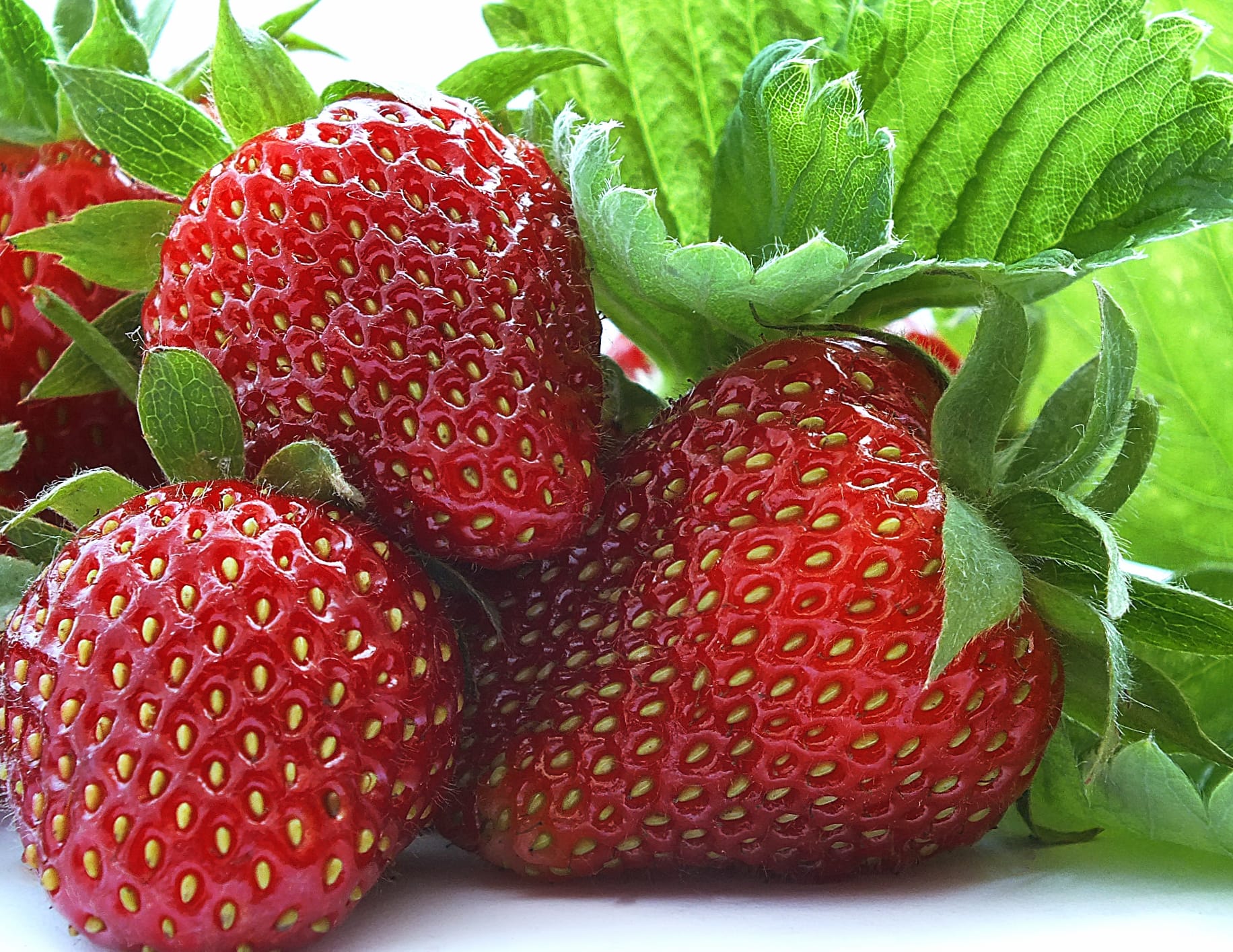 Vibrant Strawberry Delight - wallpapers HD quality