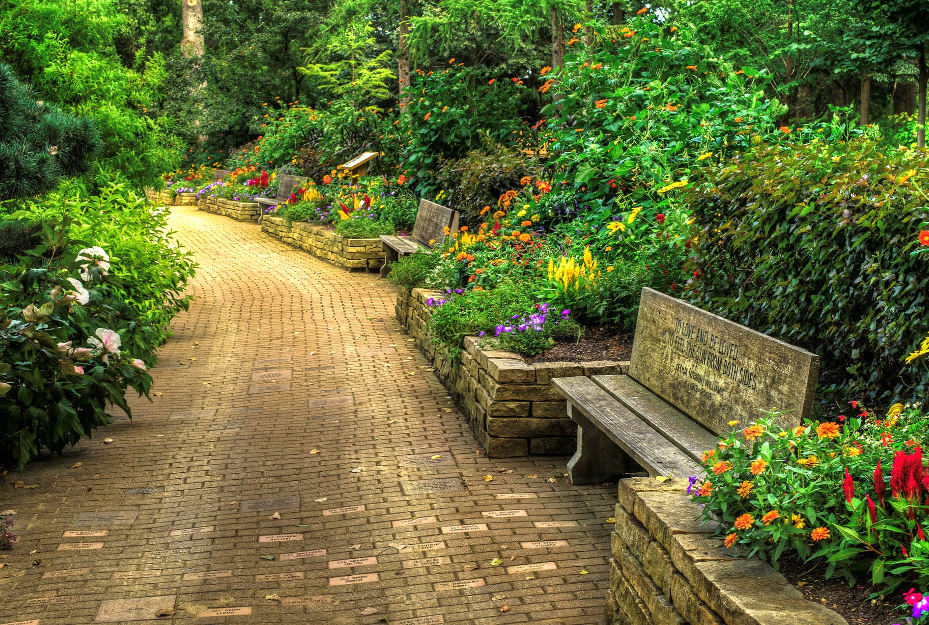 Walkway Stone Flower Spring Photography Park wallpapers HD quality