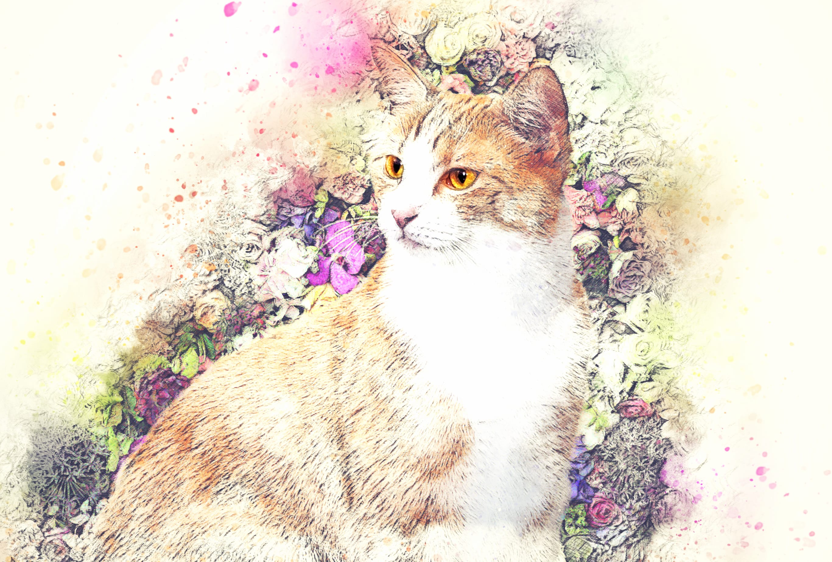 Watercolor Cat at 1536 x 864 HD size wallpapers HD quality