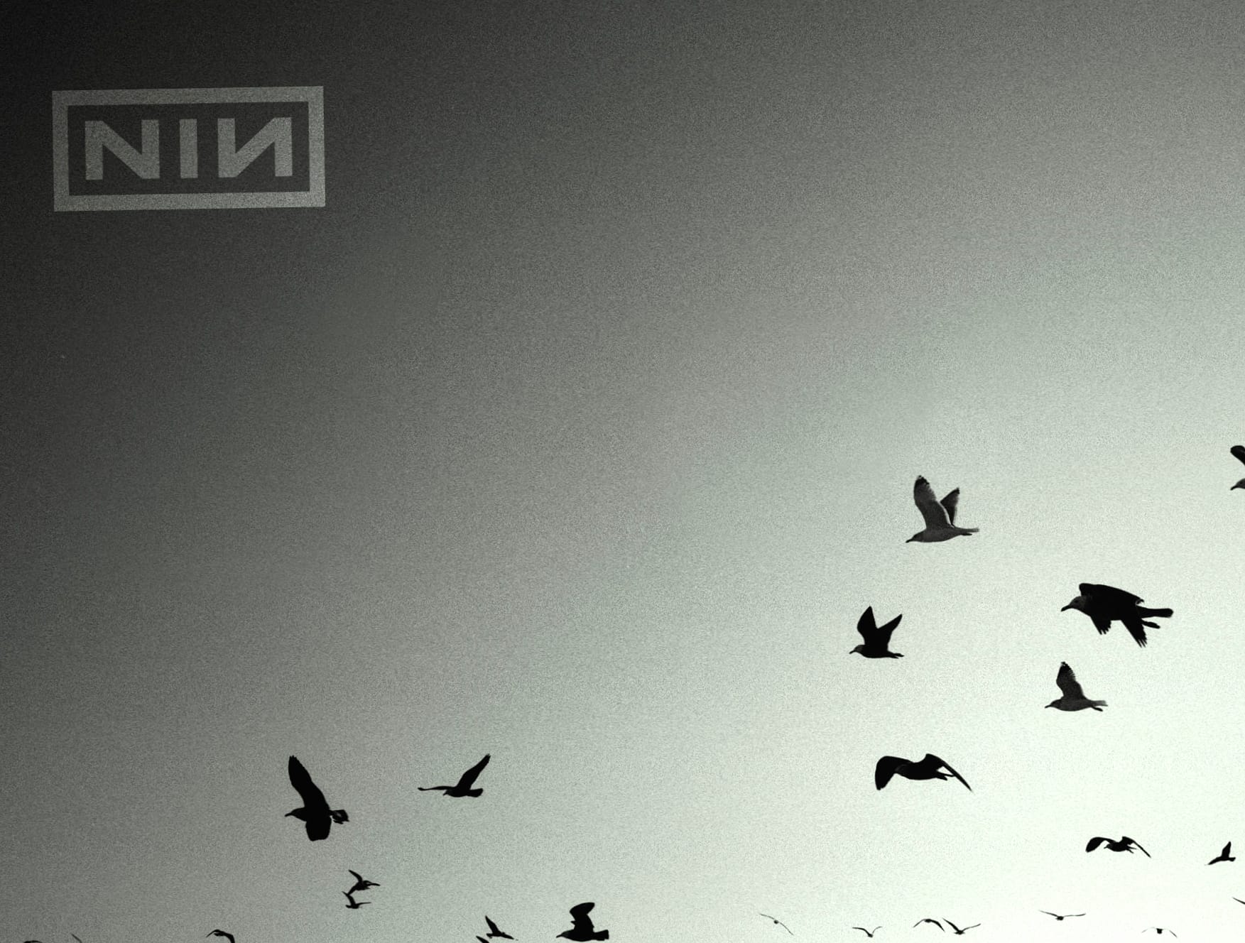 Whispers of Nine Inch Nails at 2048 x 2048 iPad size wallpapers HD quality