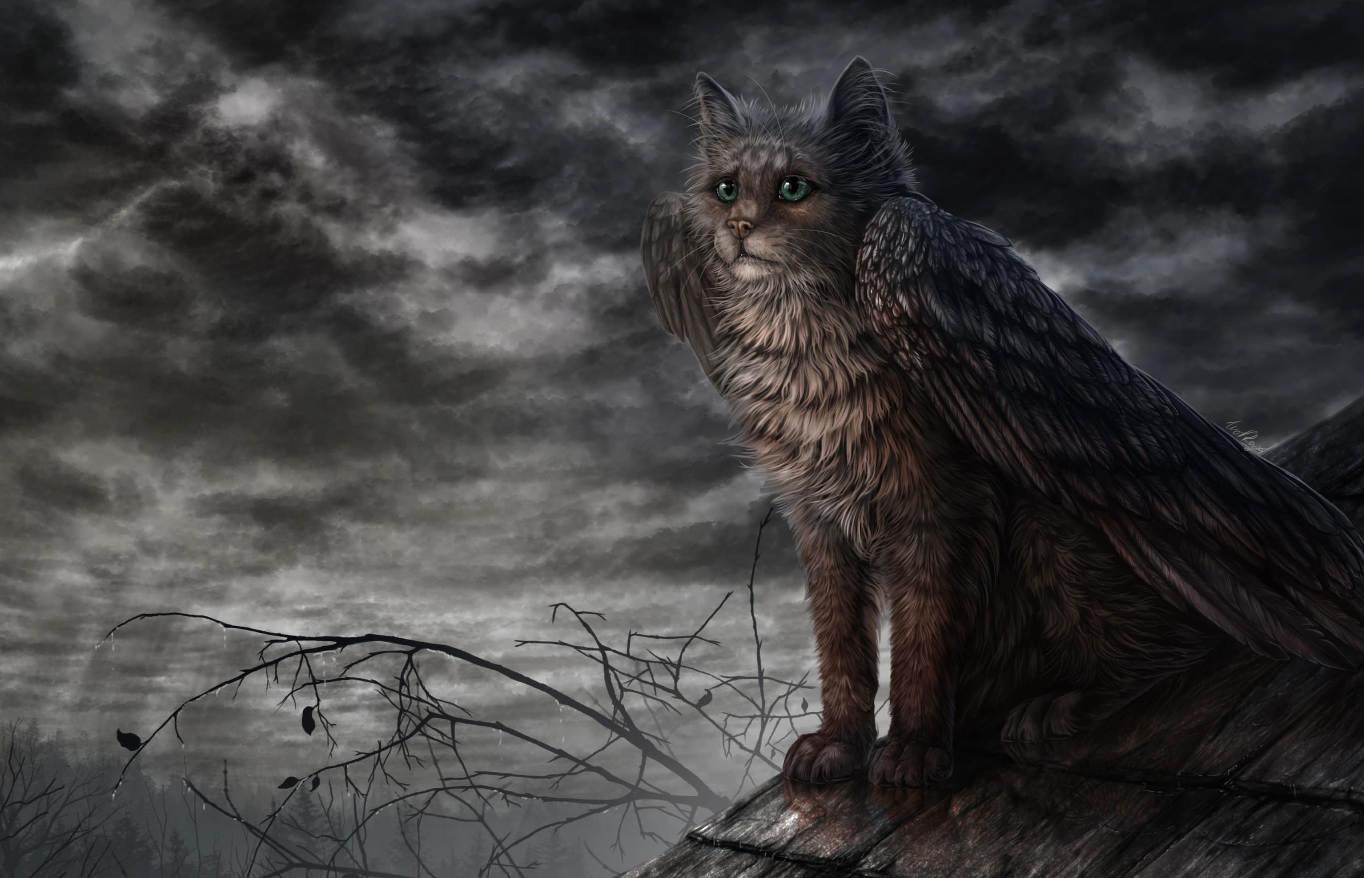 Wings Cat Fantasy Creature at 1024 x 1024 iPad size wallpapers HD quality