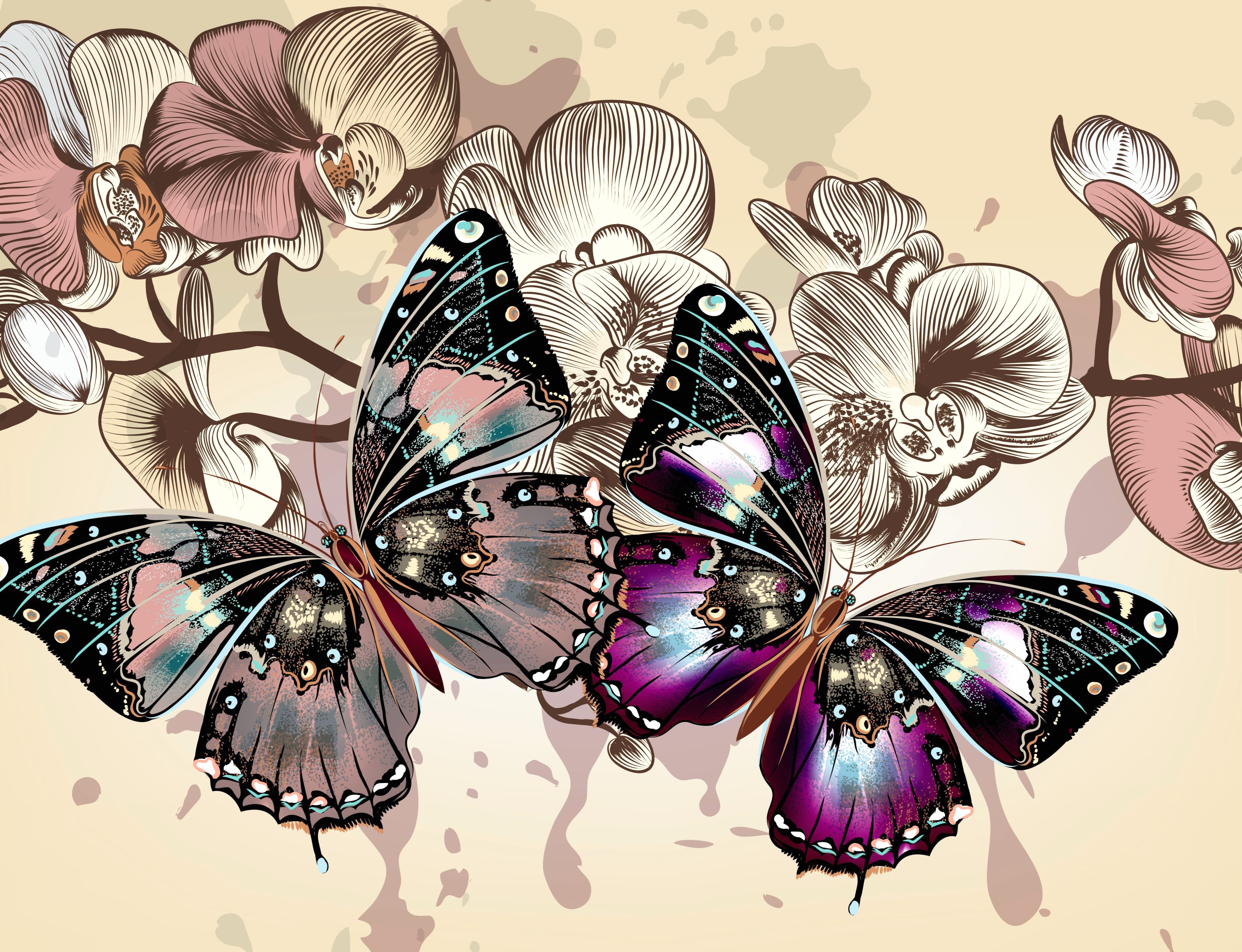 Wings Flower Vector Animal Butterfly at 1680 x 945 HD size wallpapers HD quality