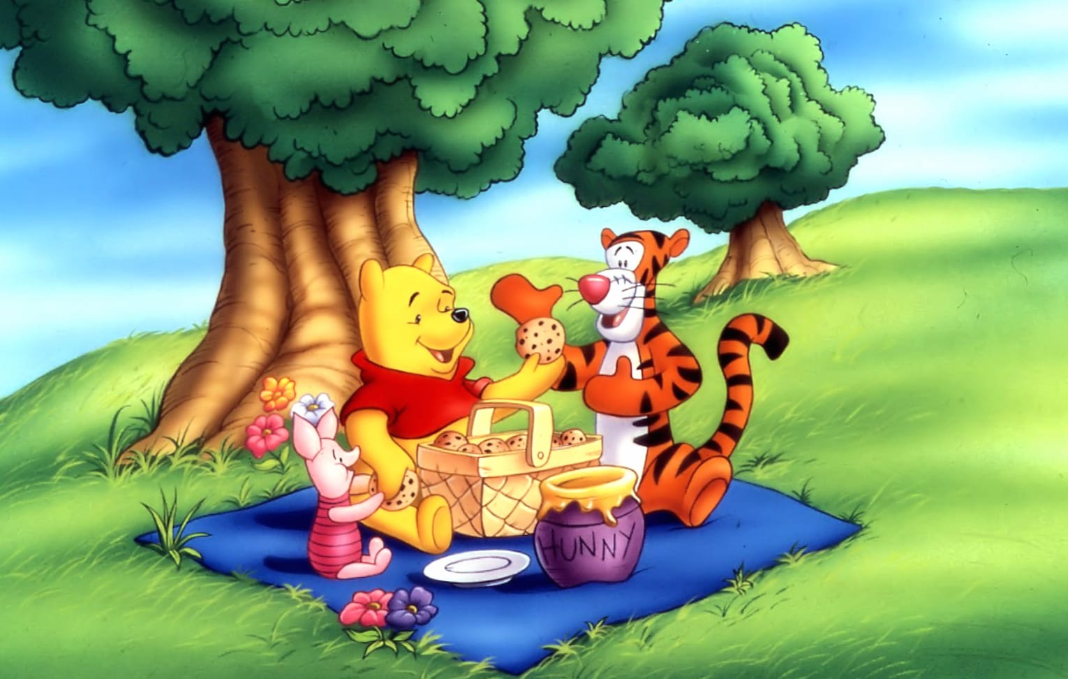 Winnie the Pooh Picnic wallpapers HD quality