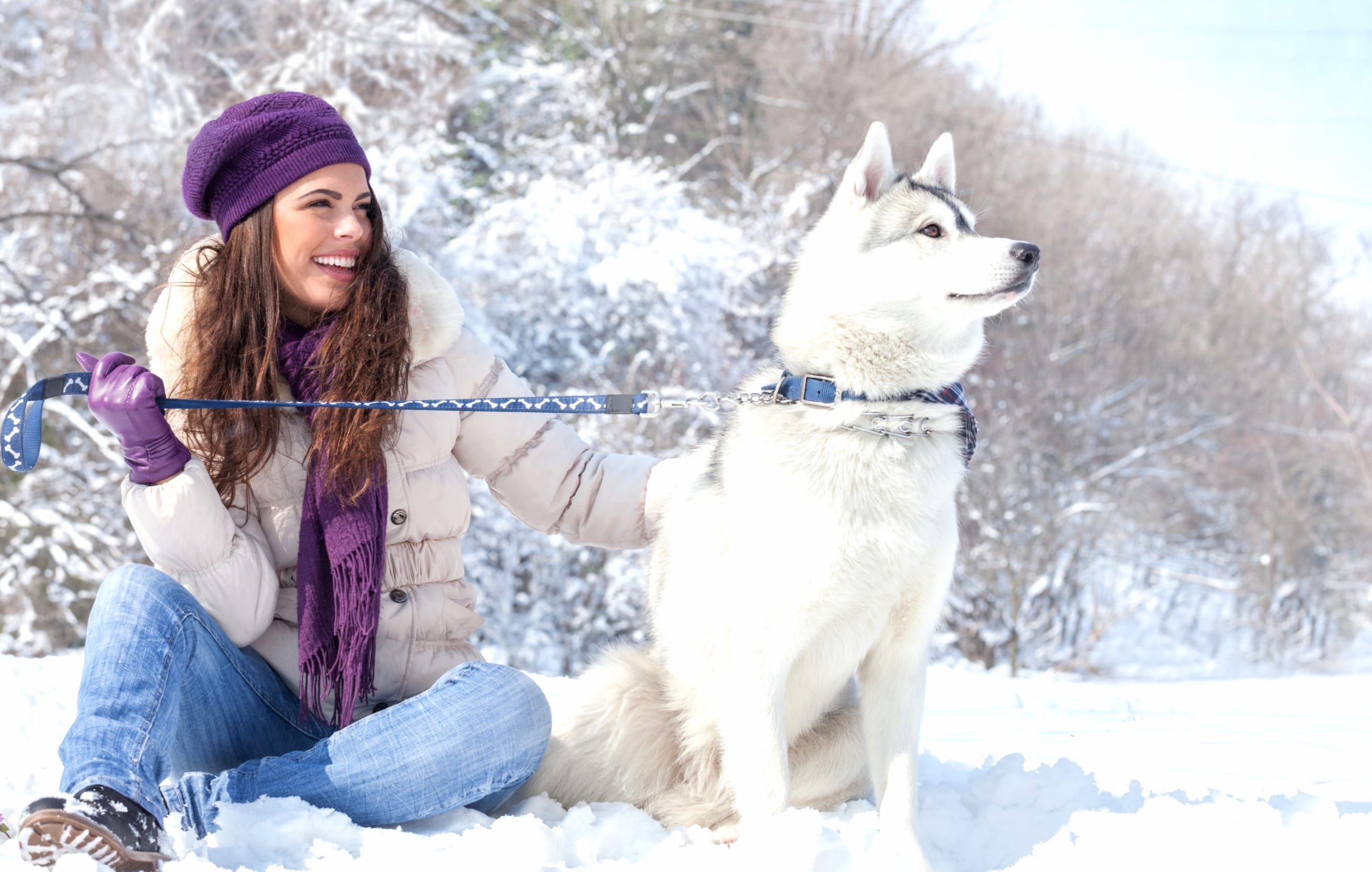 Winter Bliss with Husky - at 1600 x 1200 size wallpapers HD quality