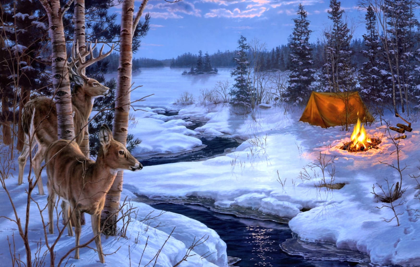 Winter Wilderness with White-Tailed Deer wallpapers HD quality