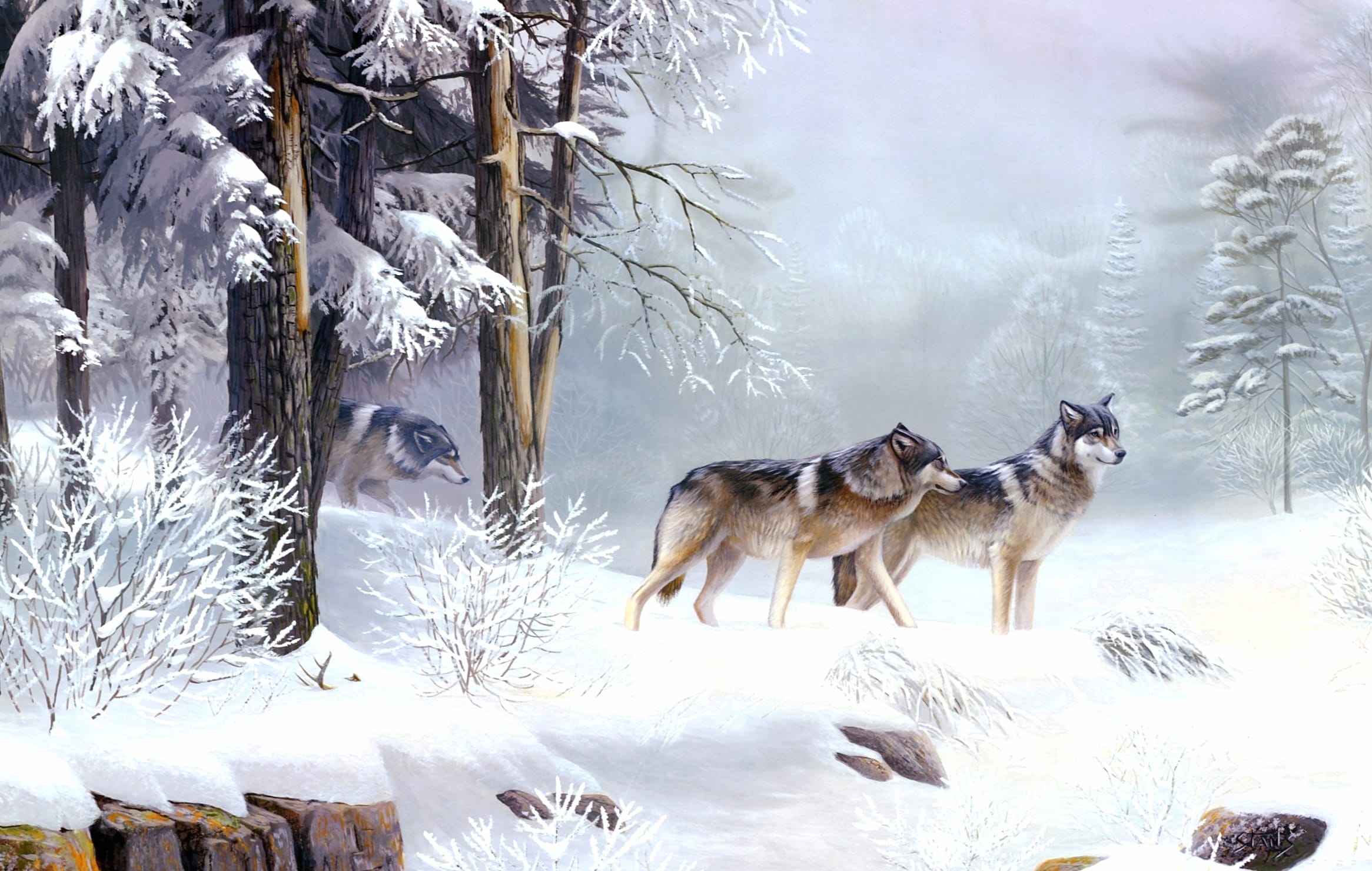 Winter Wolves wallpapers HD quality