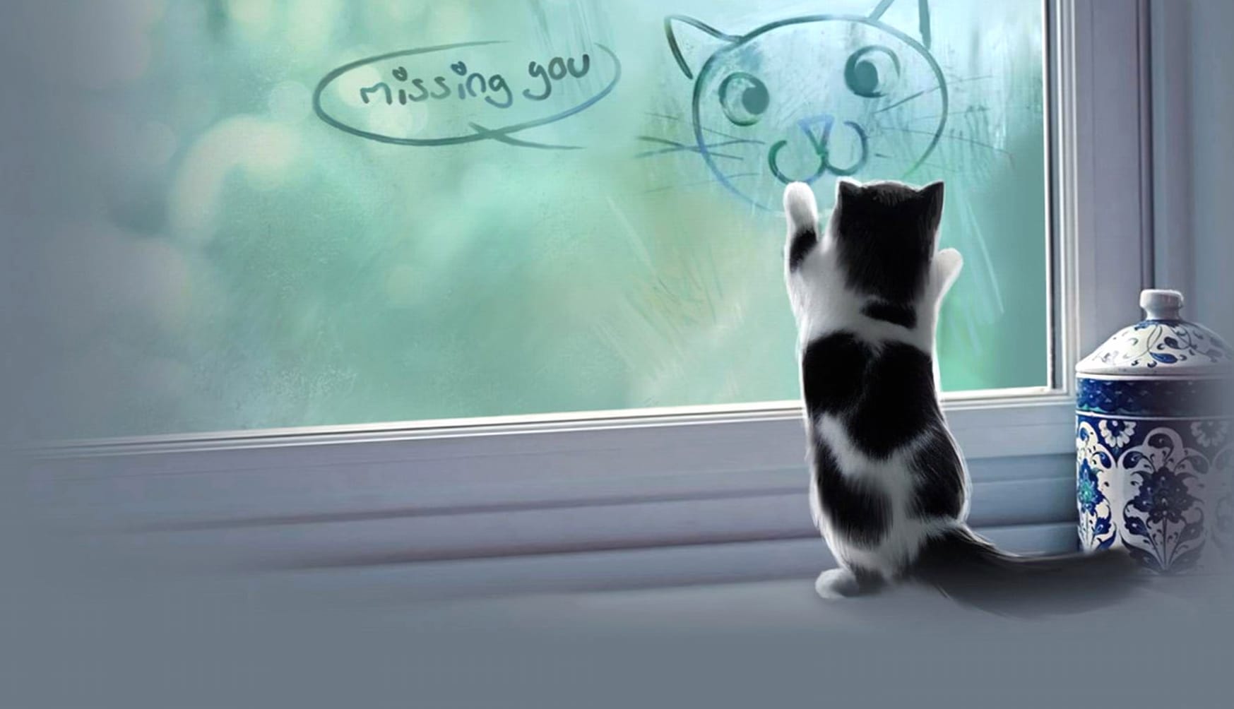 Yearning Kitten at Window wallpapers HD quality