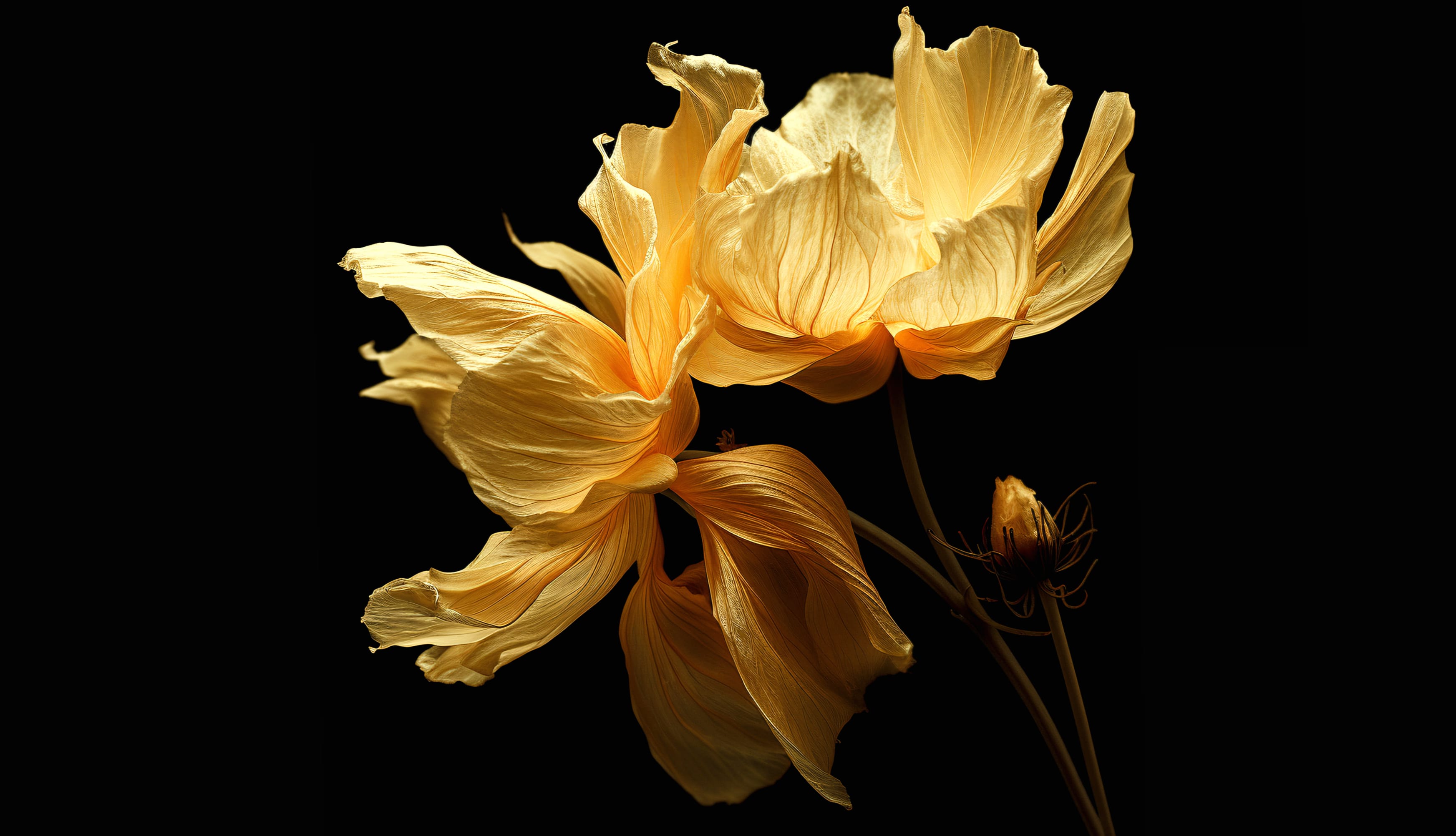 Yellow flowers Digital render wallpapers HD quality