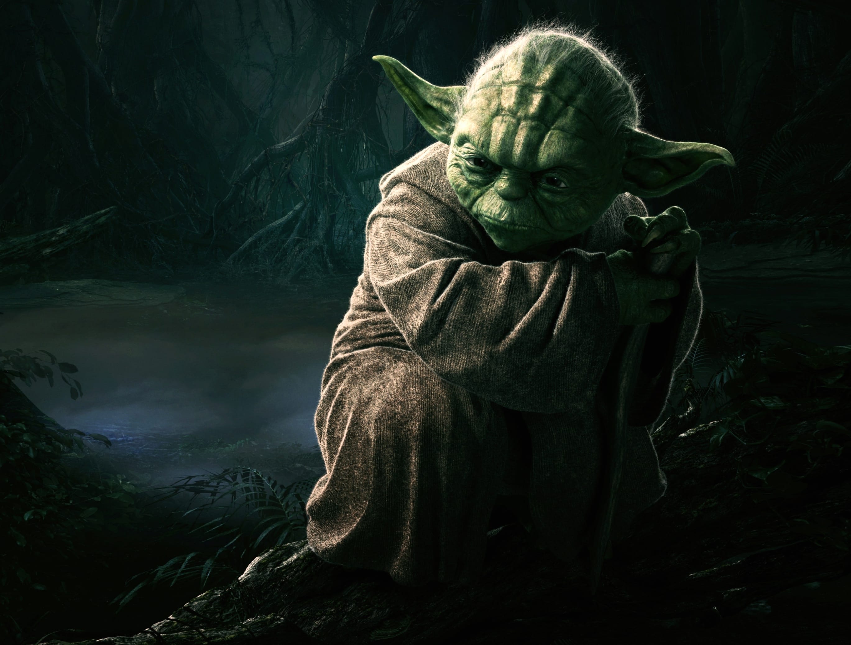 Yoda Jedi Master in the Shadows wallpapers HD quality