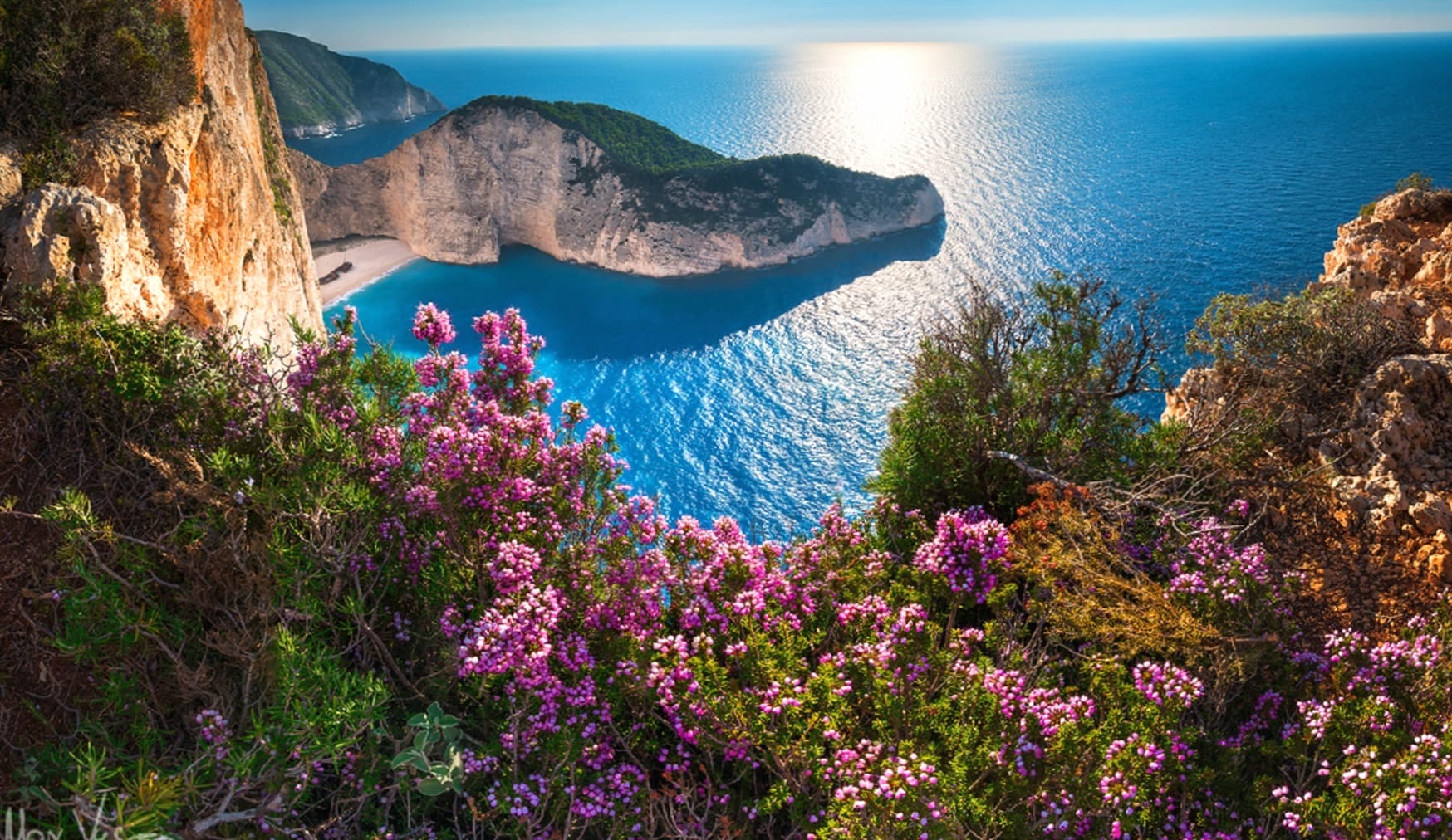 Zakynthos Navagio Beach with Pink Flowers wallpapers HD quality