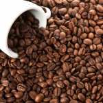 Coffee Beans Food Coffee images