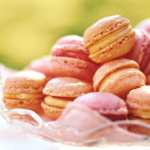 Food Macaron free wallpapers