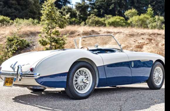 1956 Austin-Healey 100M BN2 Roadster - Image Abyss