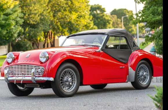 1958 Triumph TR3A - Image Abyss