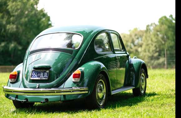 1958 Volkswagen Beetle - Image Abyss