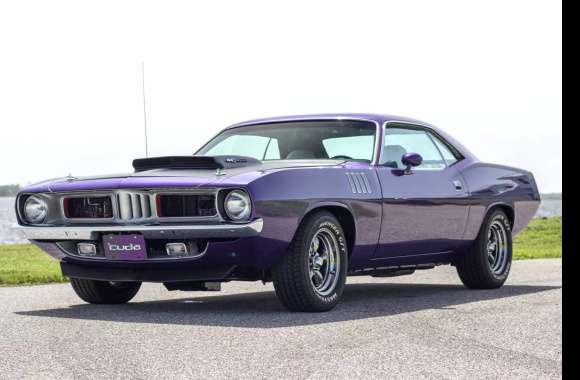 1974 Plymouth Barracuda - Image Abyss