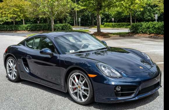 2015 Porsche Cayman S - Image Abyss