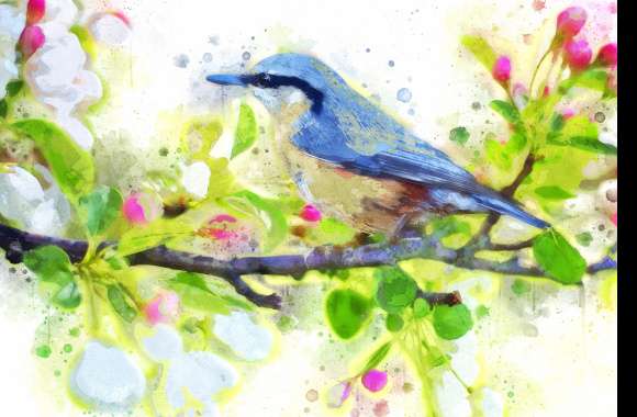 4K HD Watercolor Nuthatch on Branch Wallpaper wallpapers hd quality