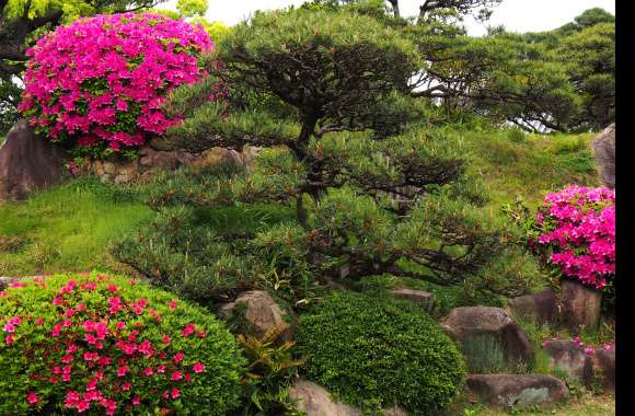 4K Ultra HD Azalea Garden Bliss Wallpaper