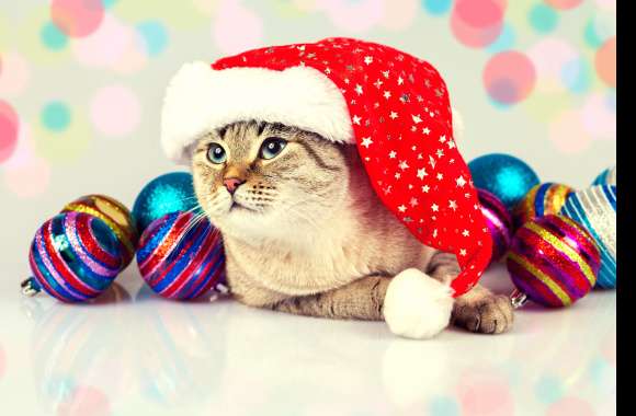 4K Ultra HD Christmas Cat with Santa Hat and Ornaments