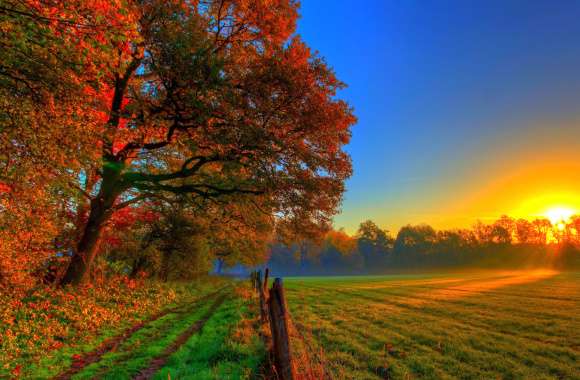 4K Ultra HD Fall Sunset in Nature Wallpaper