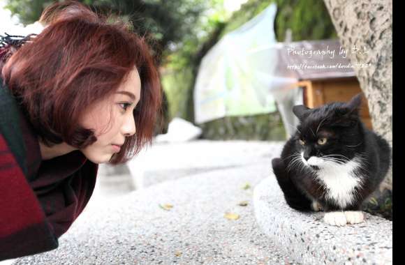 4K Ultra Taiwanese Model with Cat wallpapers hd quality