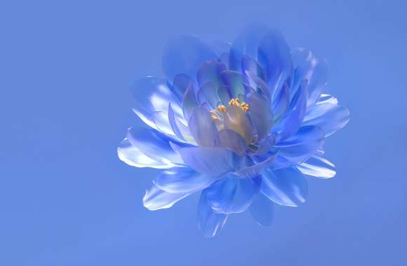 Abstract flower Blue aesthetic