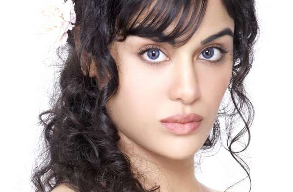 Adah Sharma Captivating Celebrity Beauty wallpapers hd quality