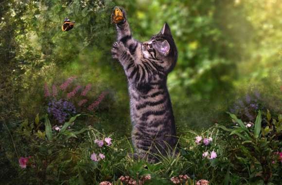 Adorable Kitten Playing with Butterfly -