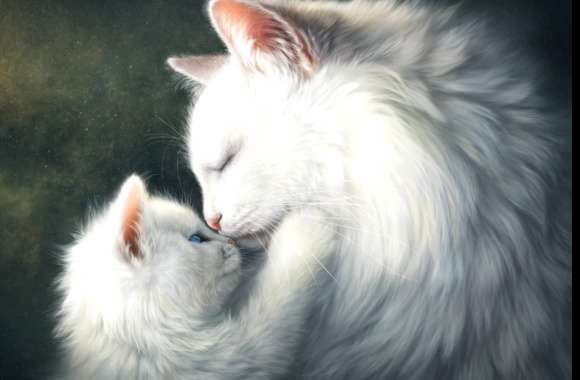 Adorable White Kittens