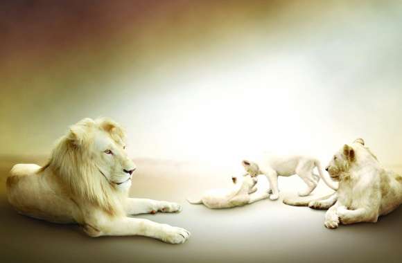 Adorable White Lion Cub Family - wallpapers hd quality