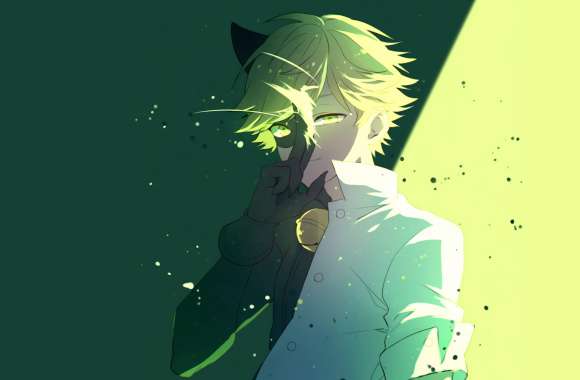 Adrien Agreste as Cat Noir