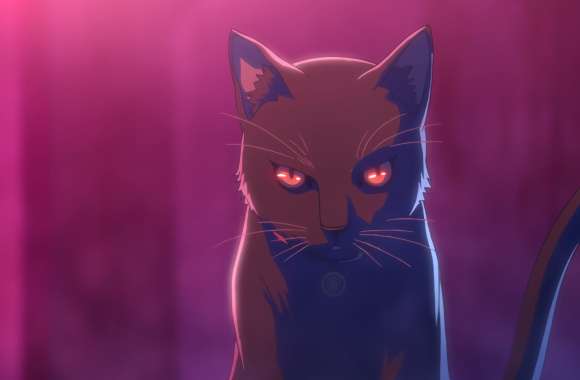 Akudama Drive Cat - HD Anime Wallpaper wallpapers hd quality