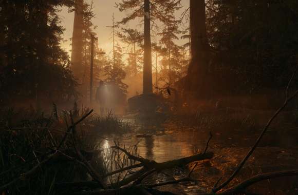 Alan Wake 2 Mystical Forest