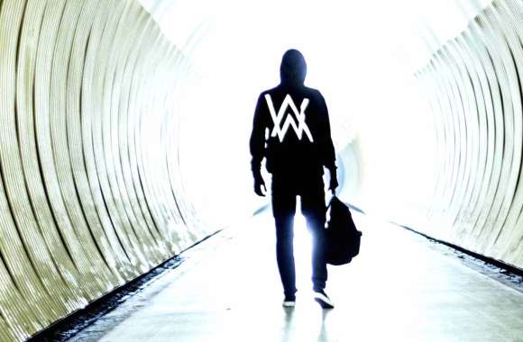 Alan Walker DJ Music