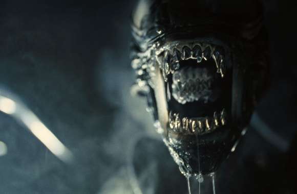 Alien Romulus Creature - HD Movie Wallpaper