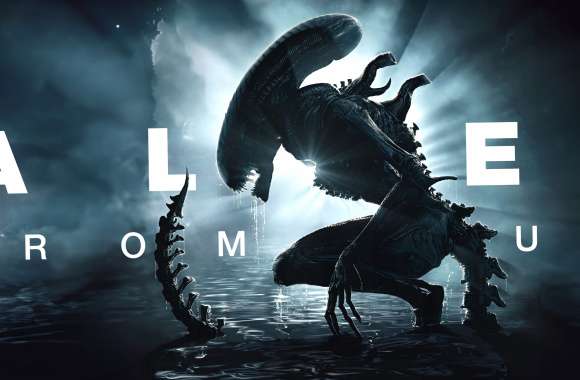 Alien Romulus Xenomorph wallpapers hd quality