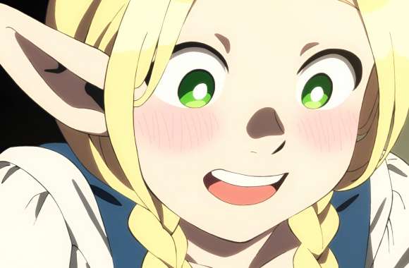 Anime Delicious In Dungeon Marcille Donato