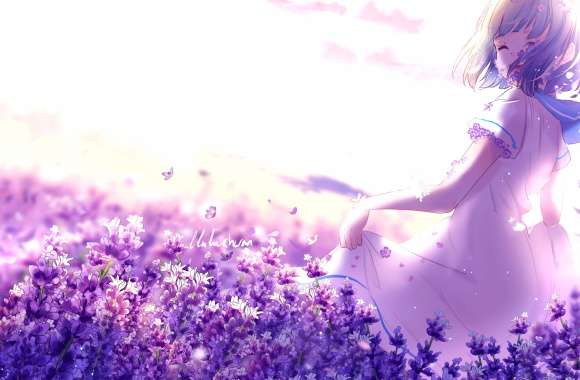 Anime Girl in Flower Field - wallpapers hd quality