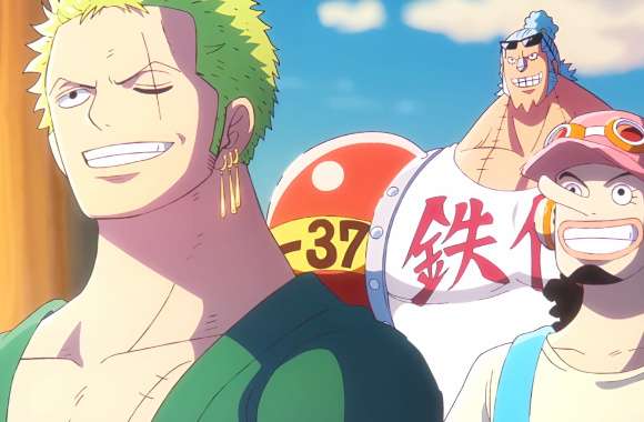Anime One Piece Roronoa Zoro Usopp (One Piece) Franky (One Piece)