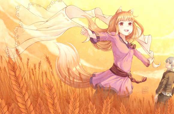 Anime Spice And Wolf Merchant Meets The Wise Wolf Holo (Spice & Wolf) Kraft Lawrence